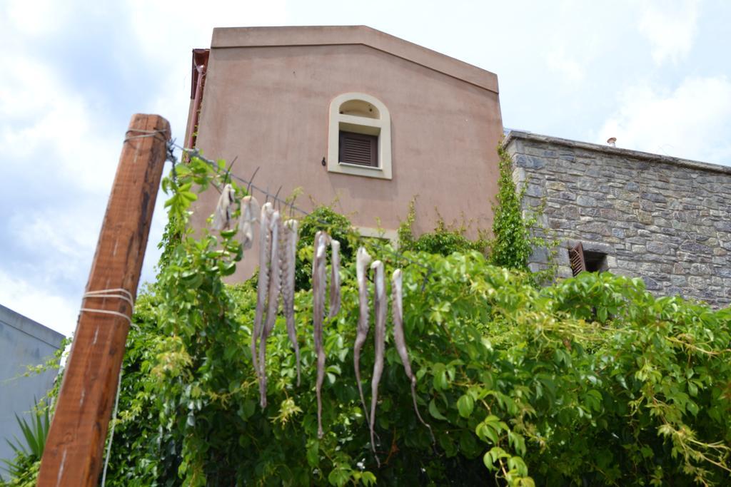Chara House ξενώνας Σκουτάρι Εξωτερικό φωτογραφία